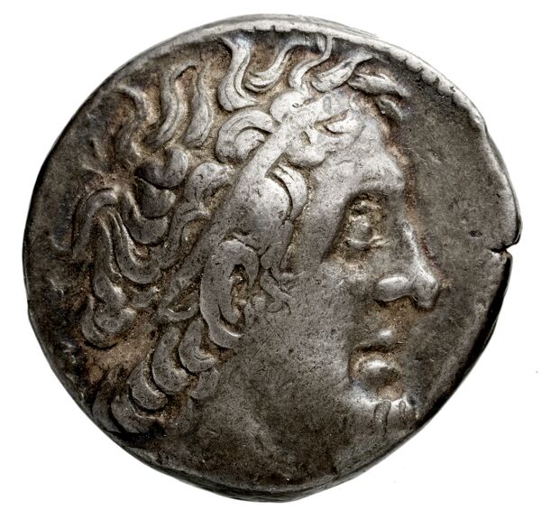 Coins of the Ptolemaic Empire Vol. I, Part 1, no. 503, аверс, bnf-hrc