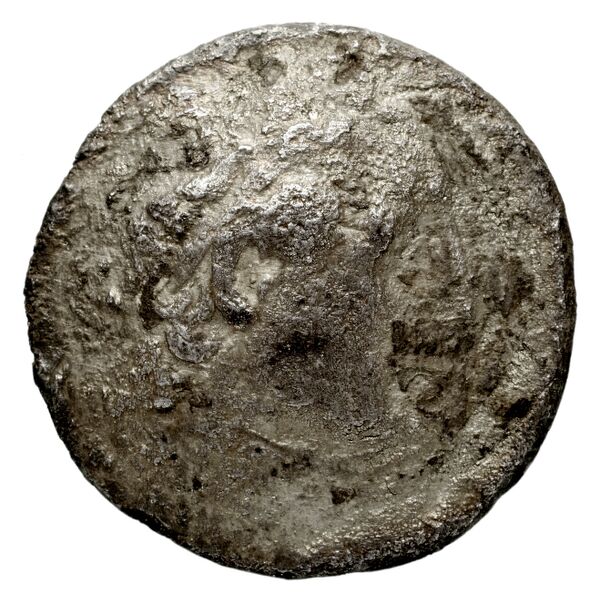 аверс Coins of the Ptolemaic Empire Vol. I, Part 1, no. 502