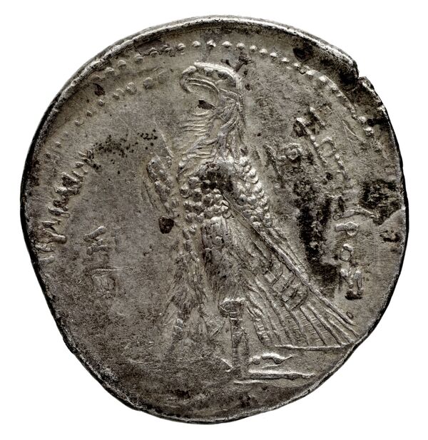 Coins of the Ptolemaic Empire Vol. I, Part 1, no. 505, реверс, bnf-hrc