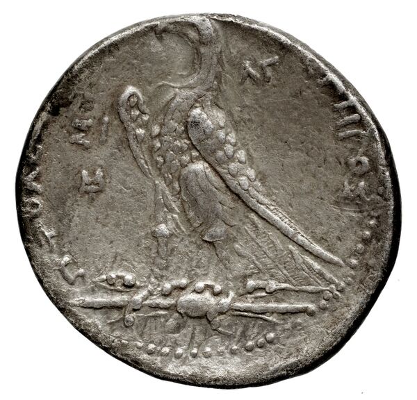 Coins of the Ptolemaic Empire Vol. I, Part 1, no. 527, реверс, bnf-hrc