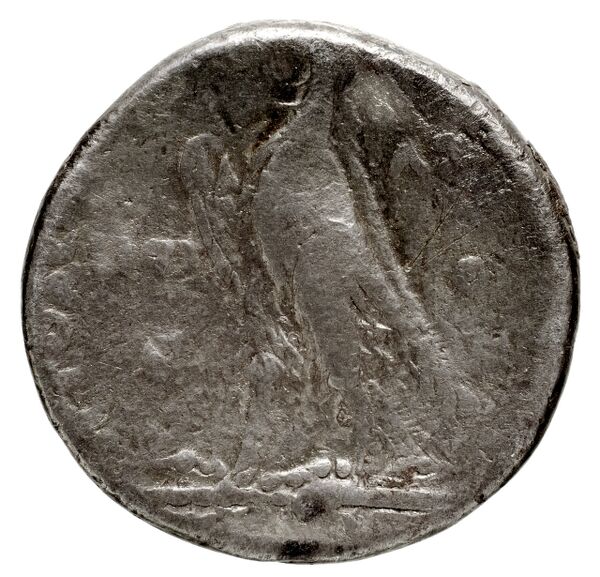 Coins of the Ptolemaic Empire Vol. I, Part 1, no. 677, реверс, bnf-hrc