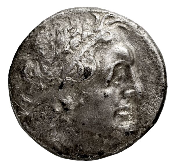 Птолемей III Эвергет obv