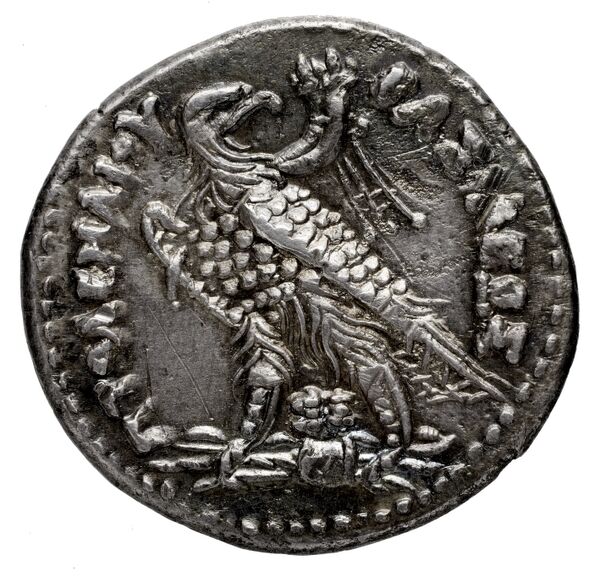 Coins of the Ptolemaic Empire Vol. I, Part 1, no. 892, реверс, bnf-hrc