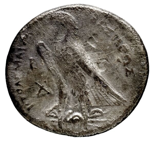 Coins of the Ptolemaic Empire Vol. I, Part 1, no. 142, reverse, bnf-hrc