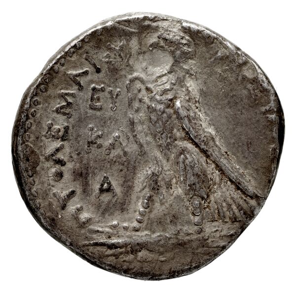Coins of the Ptolemaic Empire Vol. I, Part 1, no. 228, реверс, bnf-hrc