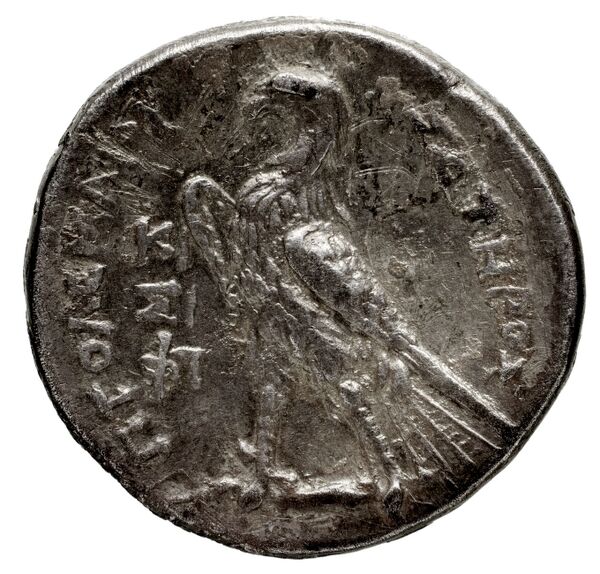 Coins of the Ptolemaic Empire Vol. I, Part 1, no. 432, реверс, bnf-hrc