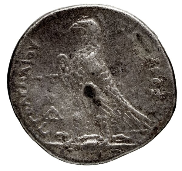 Coins of the Ptolemaic Empire Vol. I, Part 1, no. 462, реверс, bnf-hrc