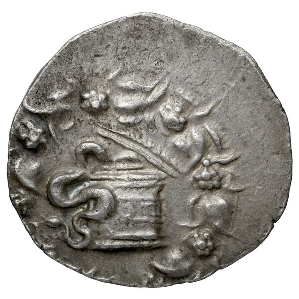 Tralles Carbone 2020 XXIX, tetradrachms, аверс, bnf-iris