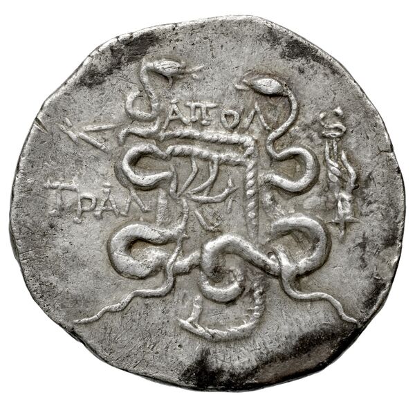 Tralles Carbone 2020 XXIX, tetradrachms, реверс, bnf-iris