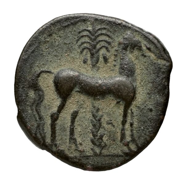 Carthaginian Empire Carthage Alexandropoulos 2007 18, реверс, bnf-iris