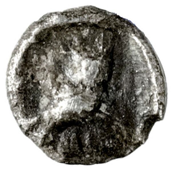 Tyre Elayi 2009 I.1.1-3 and 5, реверс, bnf-iris