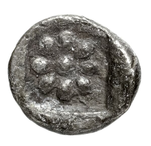 Tyre Elayi 2009 I.1.4, реверс, bnf-iris