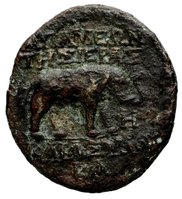 Apameia in Syria BMC Apamea 3, 5, 14, реверс, bnf-iris