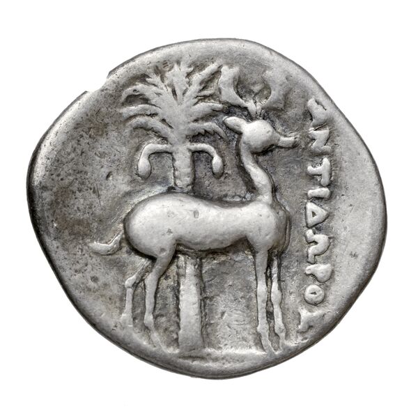 Ephesus Kinns and Holt 2023 Period V, AR XIX, реверс, bnf-iris