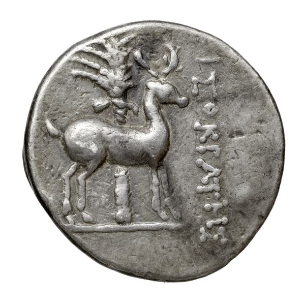 Ephesus Kinns and Holt 2023 Period V, AR XIX, реверс, bnf-iris