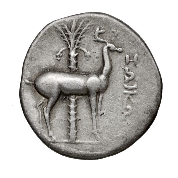 Ephesus Kinns and Holt 2023 Period V, AR XIX, реверс, bnf-iris
