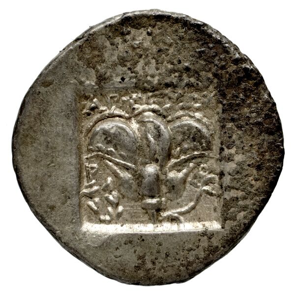 Rhodes Jenkins 1989 Group C, реверс, bnf-iris