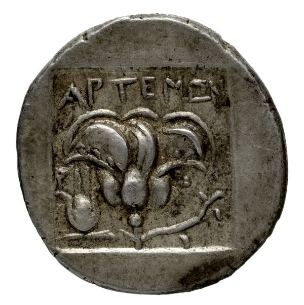 Rhodes Jenkins 1989 Group A, реверс, bnf-iris