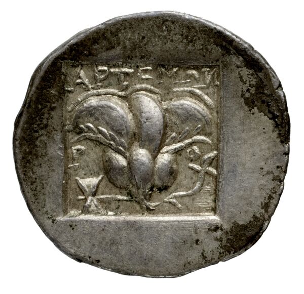Rhodes Jenkins 1989 Group C, реверс, bnf-iris