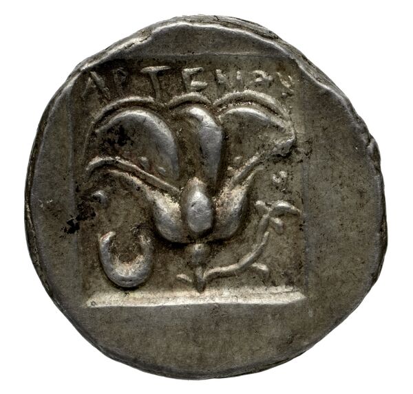Rhodes Jenkins 1989 Group C, реверс, bnf-iris