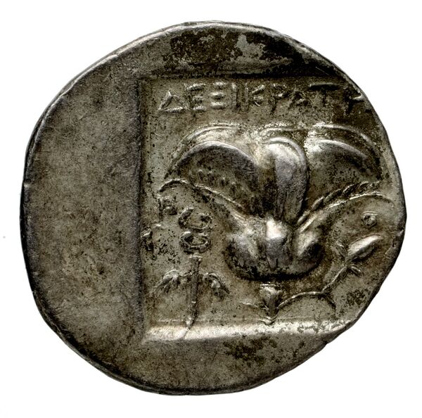 Rhodes Jenkins 1989 Group A, реверс, bnf-iris