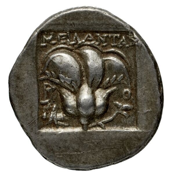 Rhodes Jenkins 1989 Group D drachms, реверс, bnf-iris