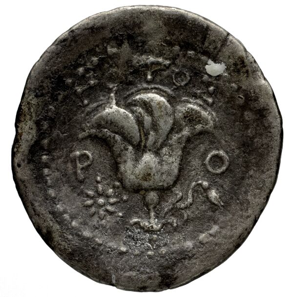 Rhodes Rhodes Ashton 2001 333, реверс, bnf-iris