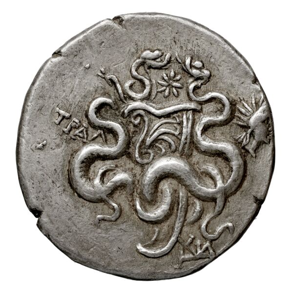 Tralles Kleiner and Noe 1977 39, реверс, bnf-iris