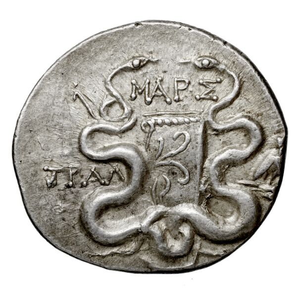 реверс Tralles Carbone 2020 XIV, tetradrachms