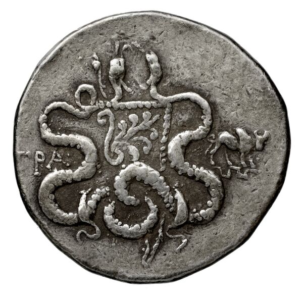 Tralles Kleiner and Noe 1977 15, реверс, bnf-iris