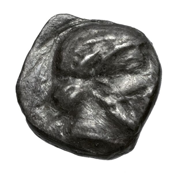 Gaza Gitler and Tal 2006 4.3.VI.13, obverse, bnf-iris