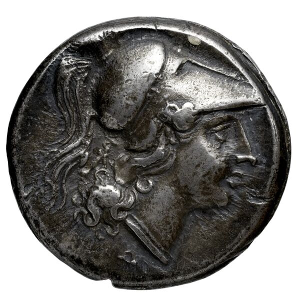 Cales Historia Numorum Italy 434, аверс, bnf-iris