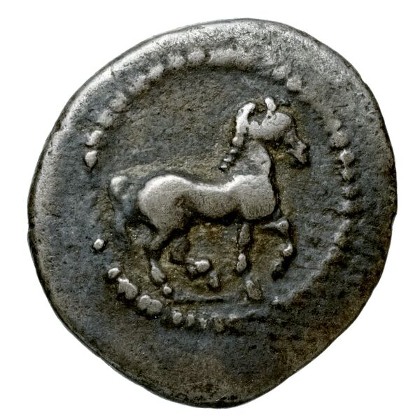 Pharcadon Babelon 1932 564-5, аверс, bnf-iris