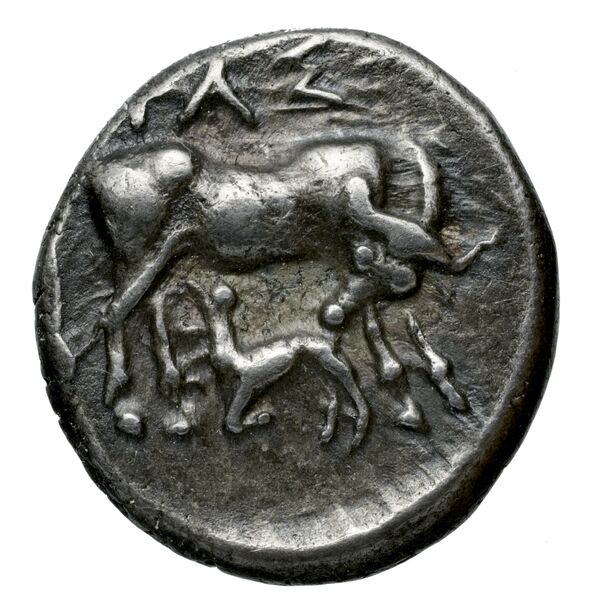 Apollonia, Illyria Maier 1907 9-105, аверс, bnf-iris