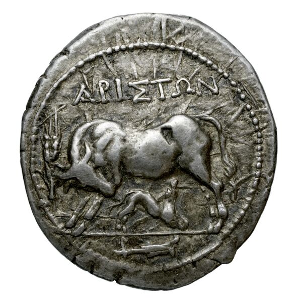 Apollonia, Illyria Maier 1907 9-105, аверс, bnf-iris