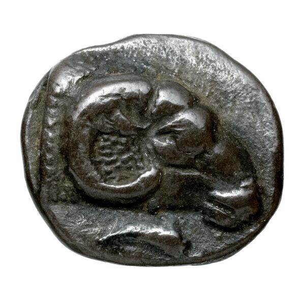 аверс Delphi Svoronos 1896 9; 20; 22-4; 26; 28-9; 31