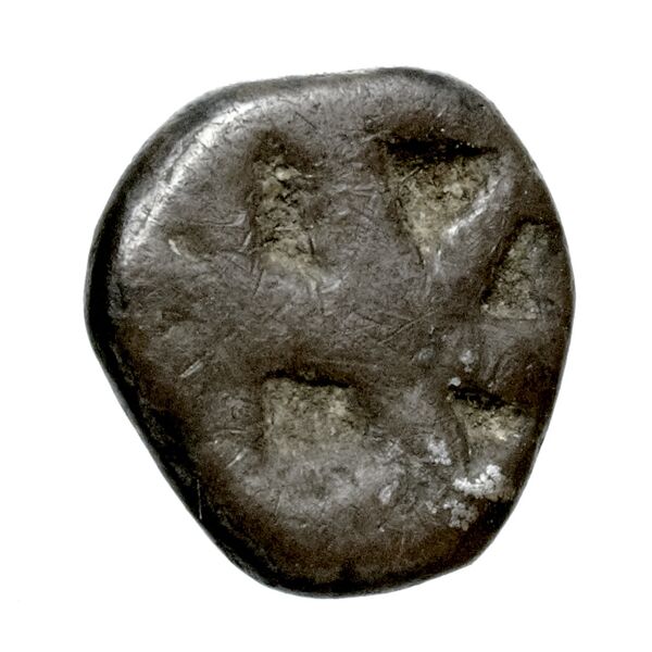 Aegina Meadows and Askari, forthcoming 3a, реверс, bnf-iris
