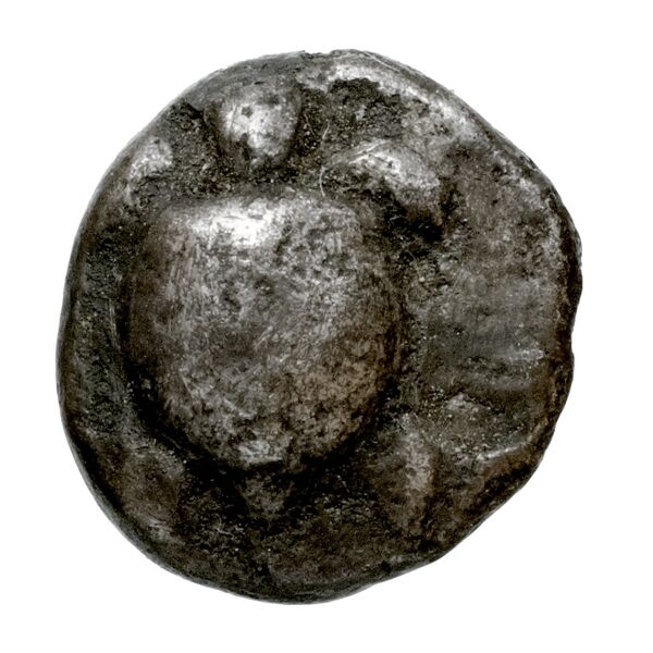 Aegina Meadows and Askari, forthcoming 3a, аверс, bnf-iris