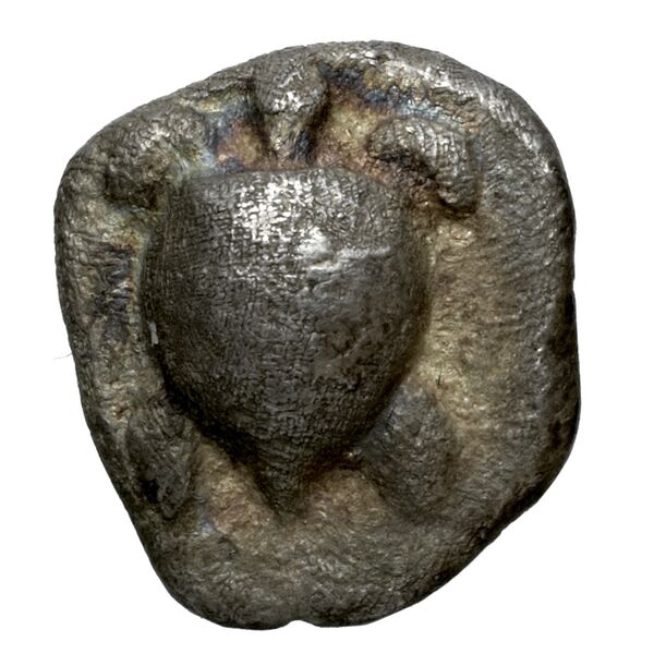 Aegina Meadows and Askari, forthcoming 3a, аверс, bnf-iris
