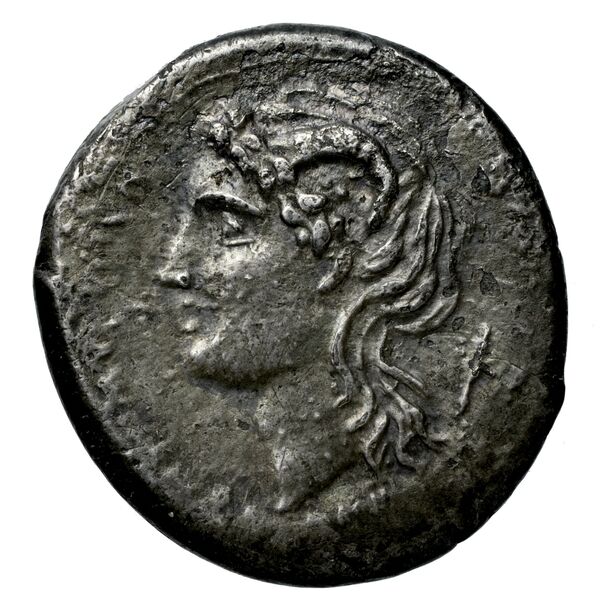 Nuceria Alfaterna Historia Numorum Italy 608, аверс, bnf-iris