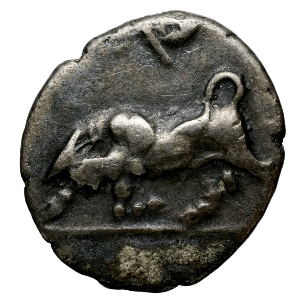 Phlius BMC Phlius 18-22, аверс, bnf-iris