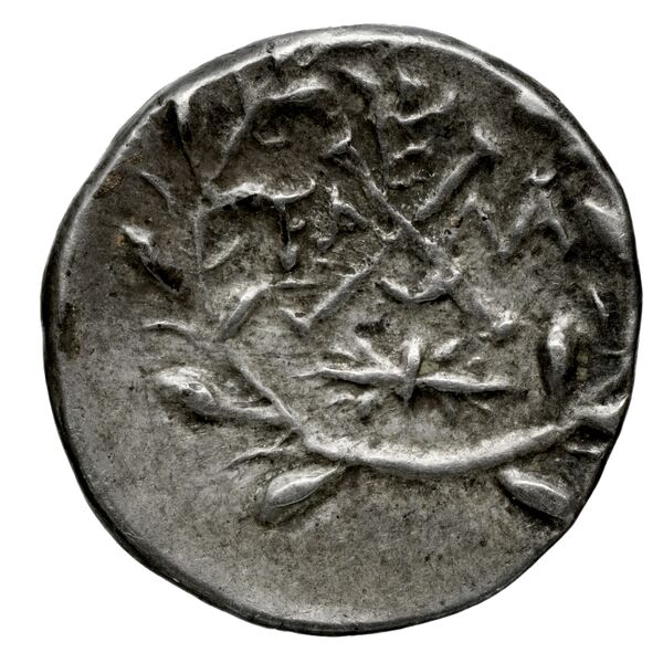 Achaean League Elis Benner 2008 Elis 16-75, реверс, bnf-iris