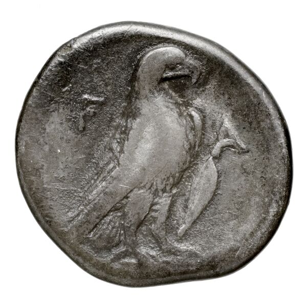 Elis BMC Elis 83, реверс, bnf-iris