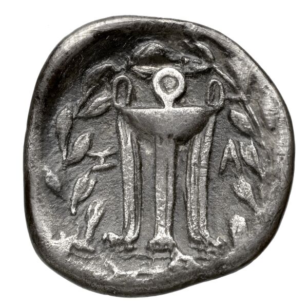 Zacynthus BMC Zacynthus 23-27, реверс, bnf-iris