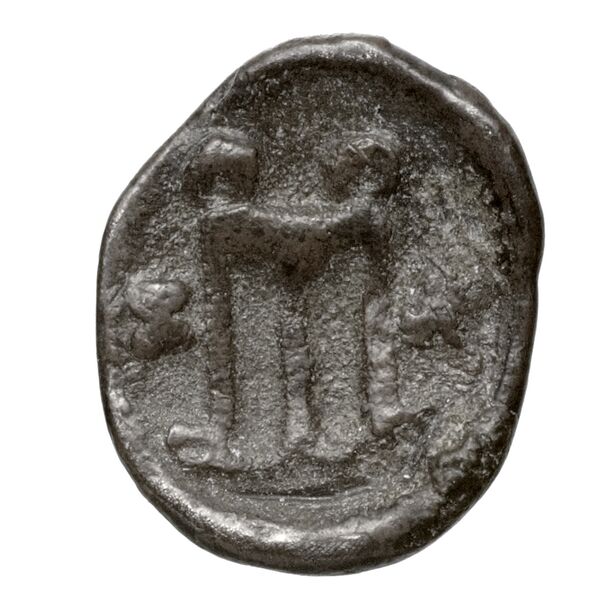 Zacynthus BMC Zacynthus 13-15_21, реверс, bnf-iris