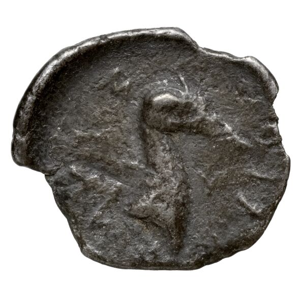 Stymphalus BMC Stymphalus 1-5, реверс, bnf-iris