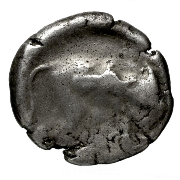 Gortyn Carbone 2016 59-103, 113-117, реверс, bnf-iris