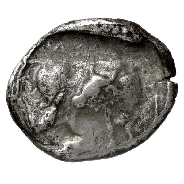 Gortyn Carbone 2016 59-103, 113-117, реверс, bnf-iris