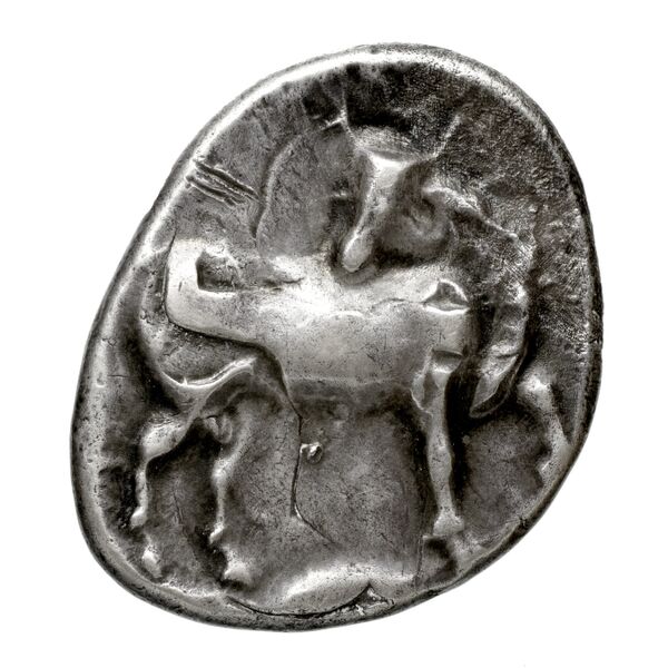 Gortyn Carbone 2016 59-103, 113-117, реверс, bnf-iris