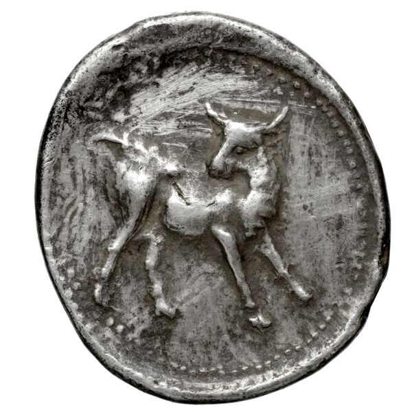 Gortyn Carbone 2016 59-103, 113-117, реверс, bnf-iris